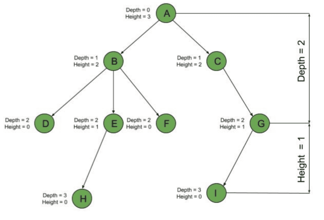 Difference Between Tree Depth and Height Baeldung on Computer Science