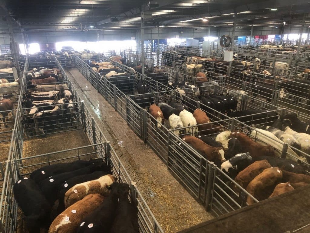 Bakewell Market Bagshaws