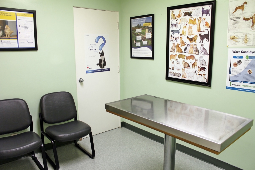 Medical Services Boulevard Animal Hospital Garden Grove, CA