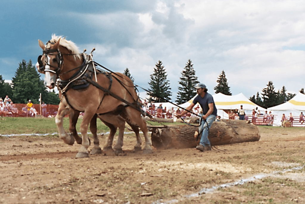 2019 Woodsmen Show at Cherry Springs State Park, Potter County, PA