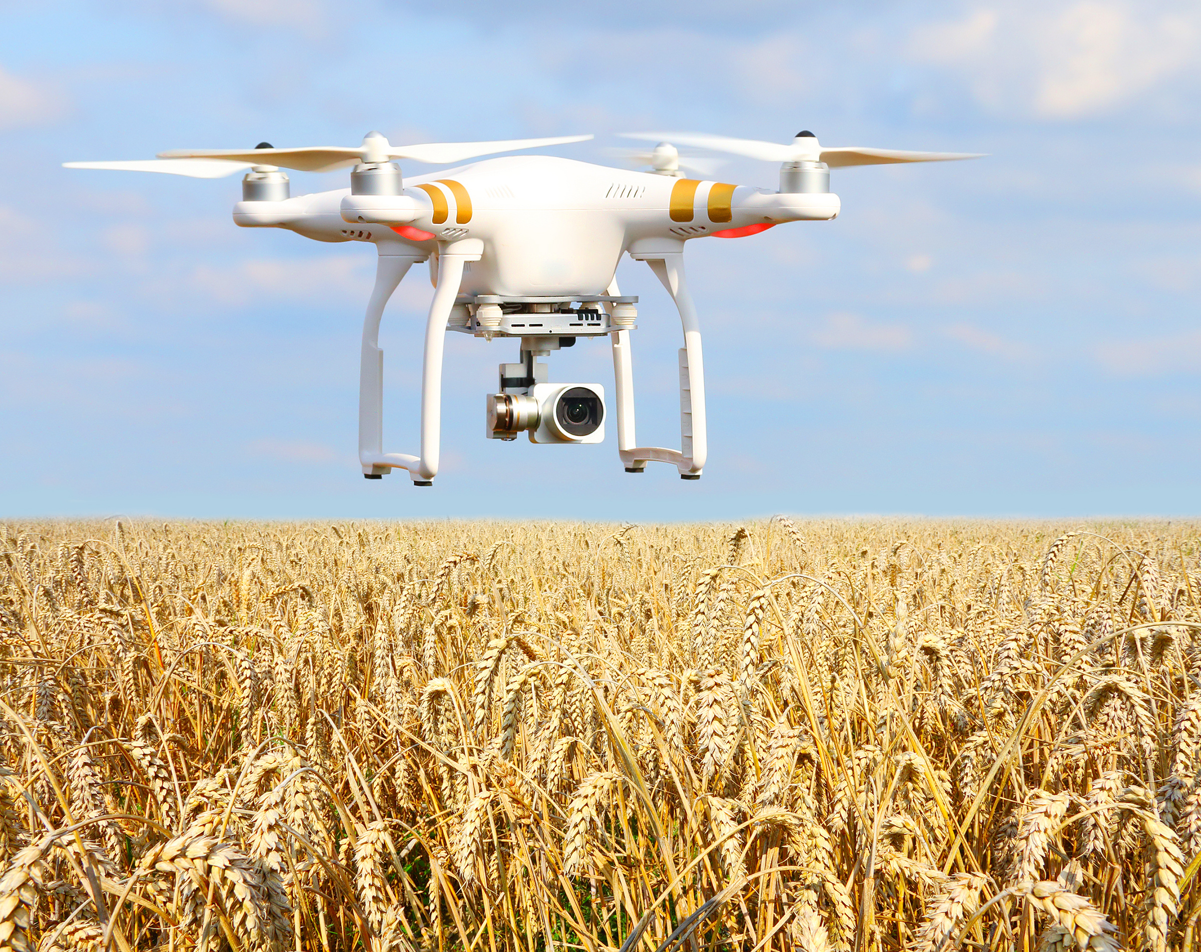 AI In Agriculture A �Smart Farm� Introduction Bainbridge Consulting