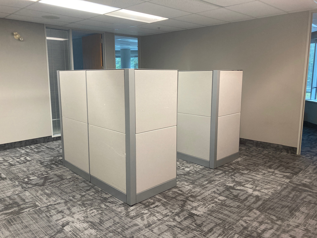 Vacancies Baine Johnston Centre Baine Johnston Properties Limited