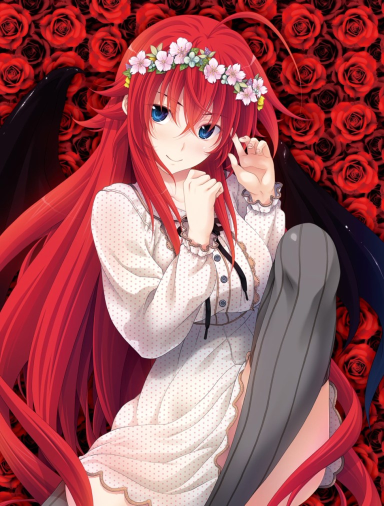 FileHigh school DxD Volume 20 Page 4.jpeg BakaTsuki