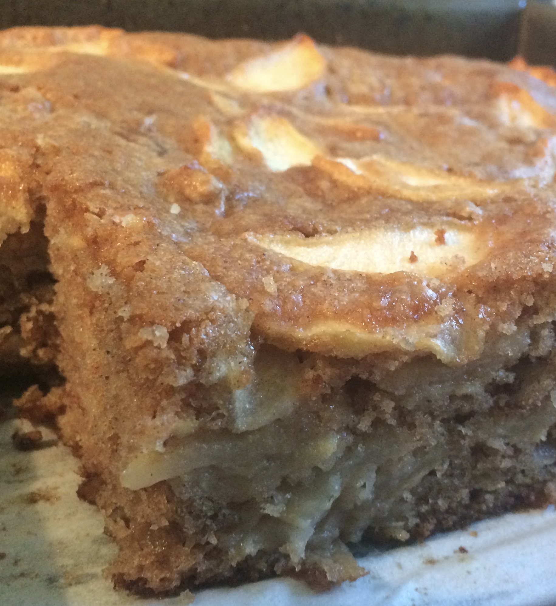 Knobby Apple Cake bakeitfab