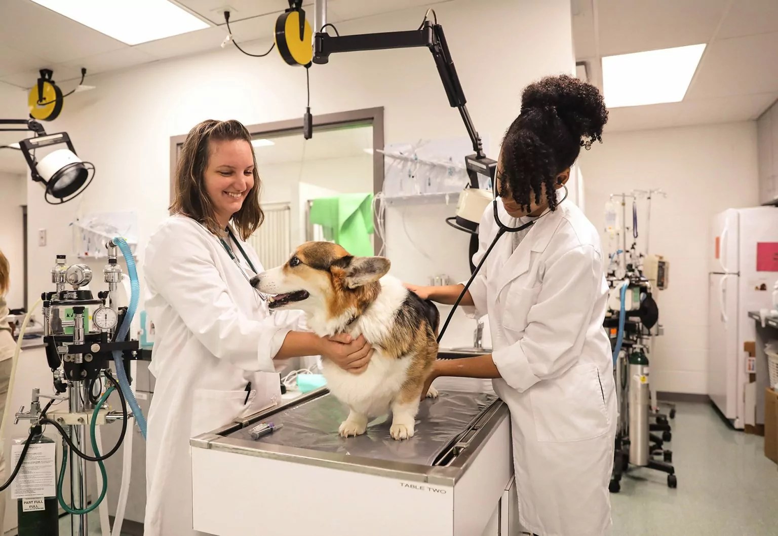 AVMA, CVTEA Once Again Accredits Baker College of Muskegon Veterinary