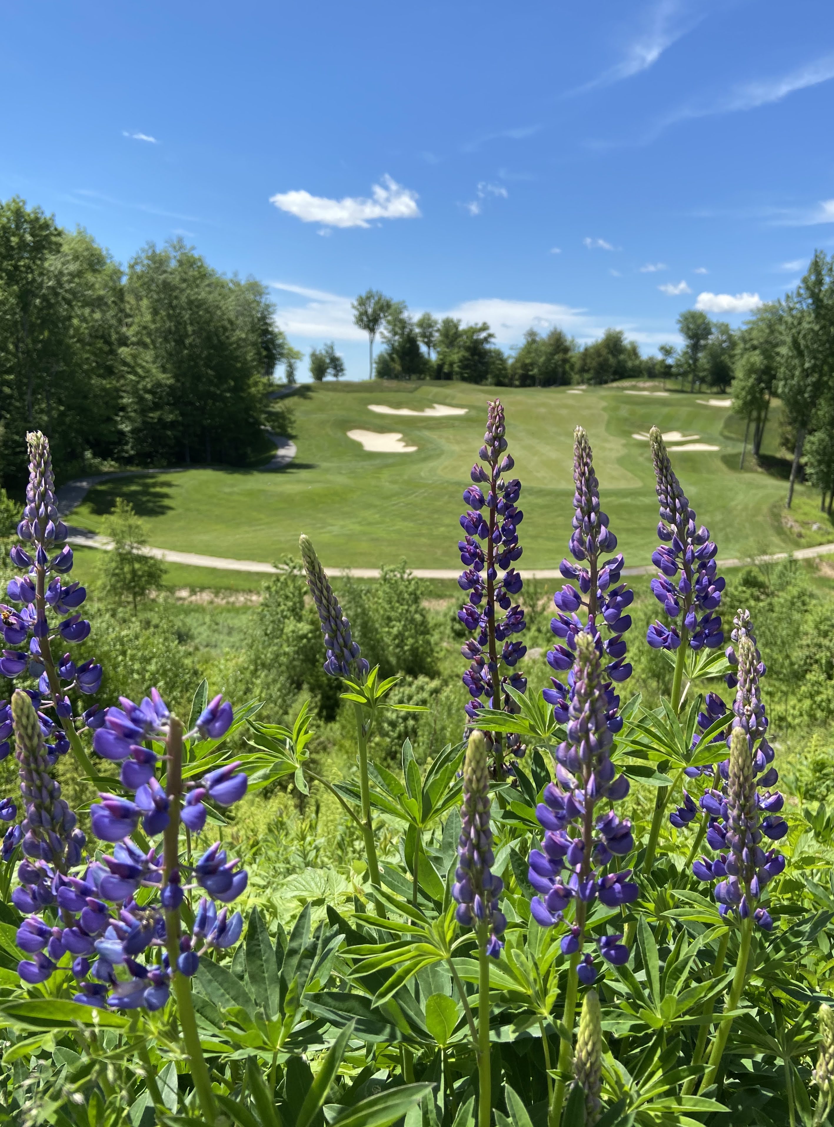 Frequently Asked Questions Baker Hill Golf Club Newbury NH