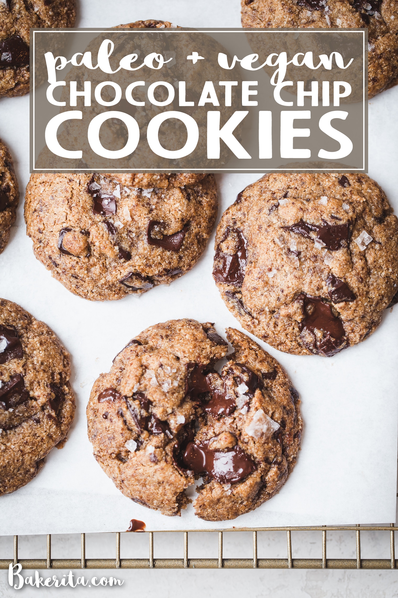 What Happens When A Dog Eats Chocolate Chip Cookies
