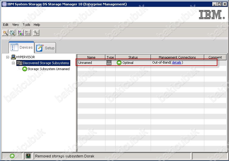 IBM System Storage DS Storage Manager Baki CUBUK