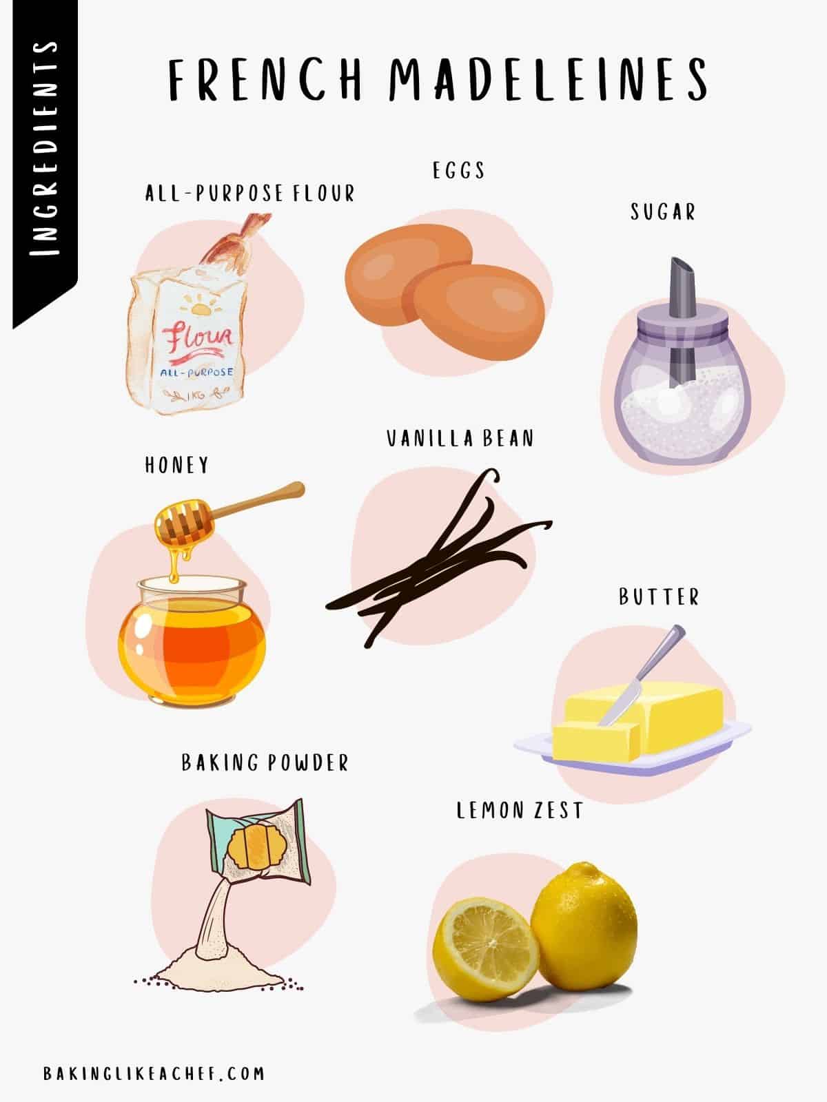 French Madeleines Recipe Baking Like a Chef