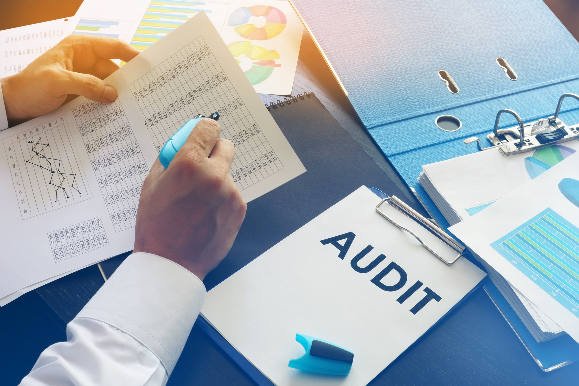 Checklist for Statutory Audit of Real Estate Company Balanced Asset Solutions