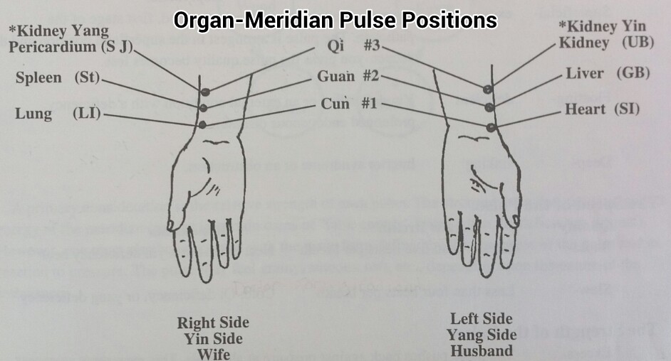 Why do they want to feel my pulse? Acupuncture Center, Inc.