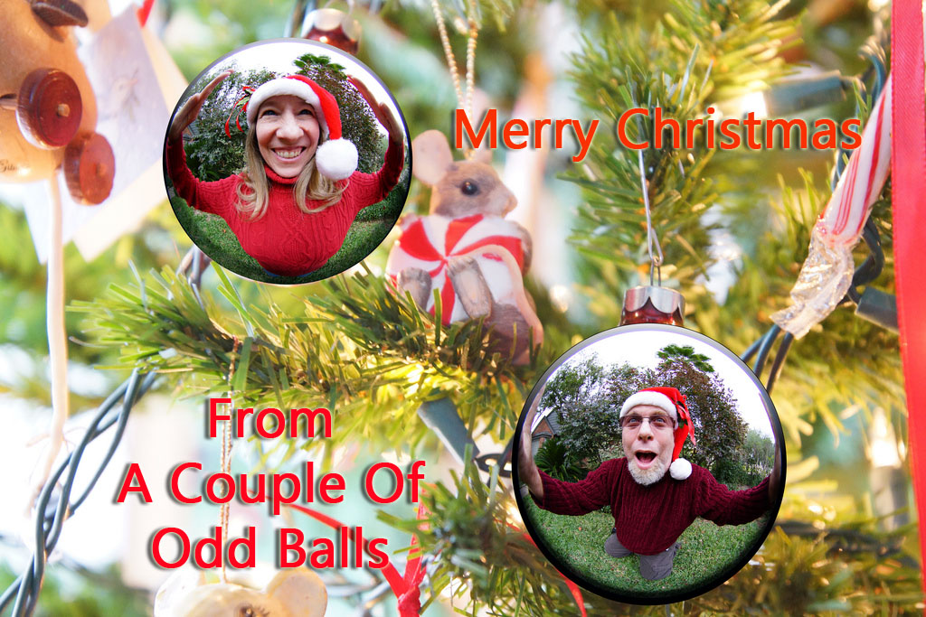 Wacky Holiday Cards The Bald Heretic Short, bald dude with a goofy