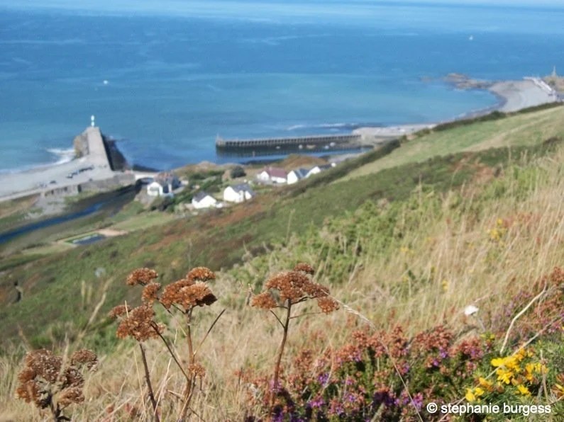 Wales Pen Dinas Iron Age Hillfort, Aberystwyth BaldHiker