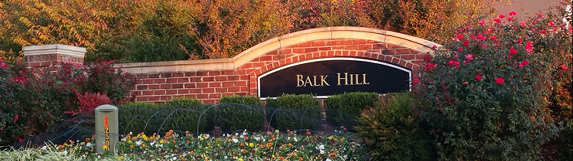 Balk Hill