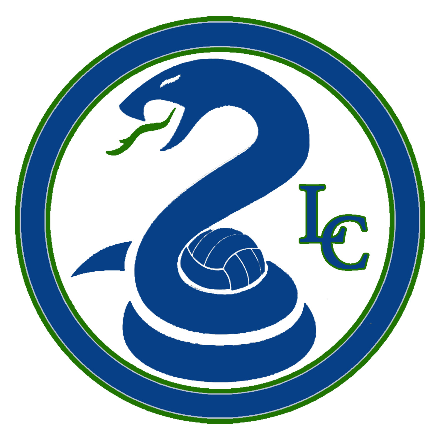 LAKEVIEW COBRAS GIRL'S SOCCER Home