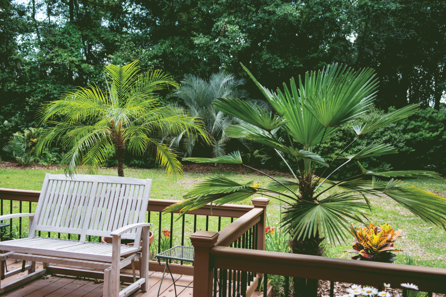 Ballinger Publishing The Secret Gardens of Pensacola (Photos)