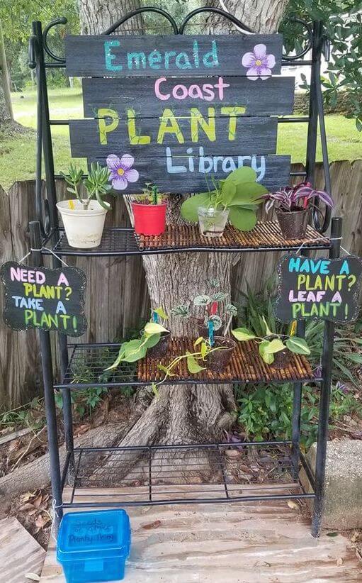 Sharing Roots Plant Libraries Sprout Up Across Gulf Coast Ballinger
