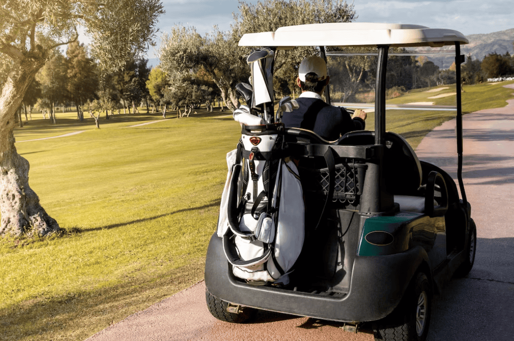 Coleman Golf Cart A Comprehensive Overview