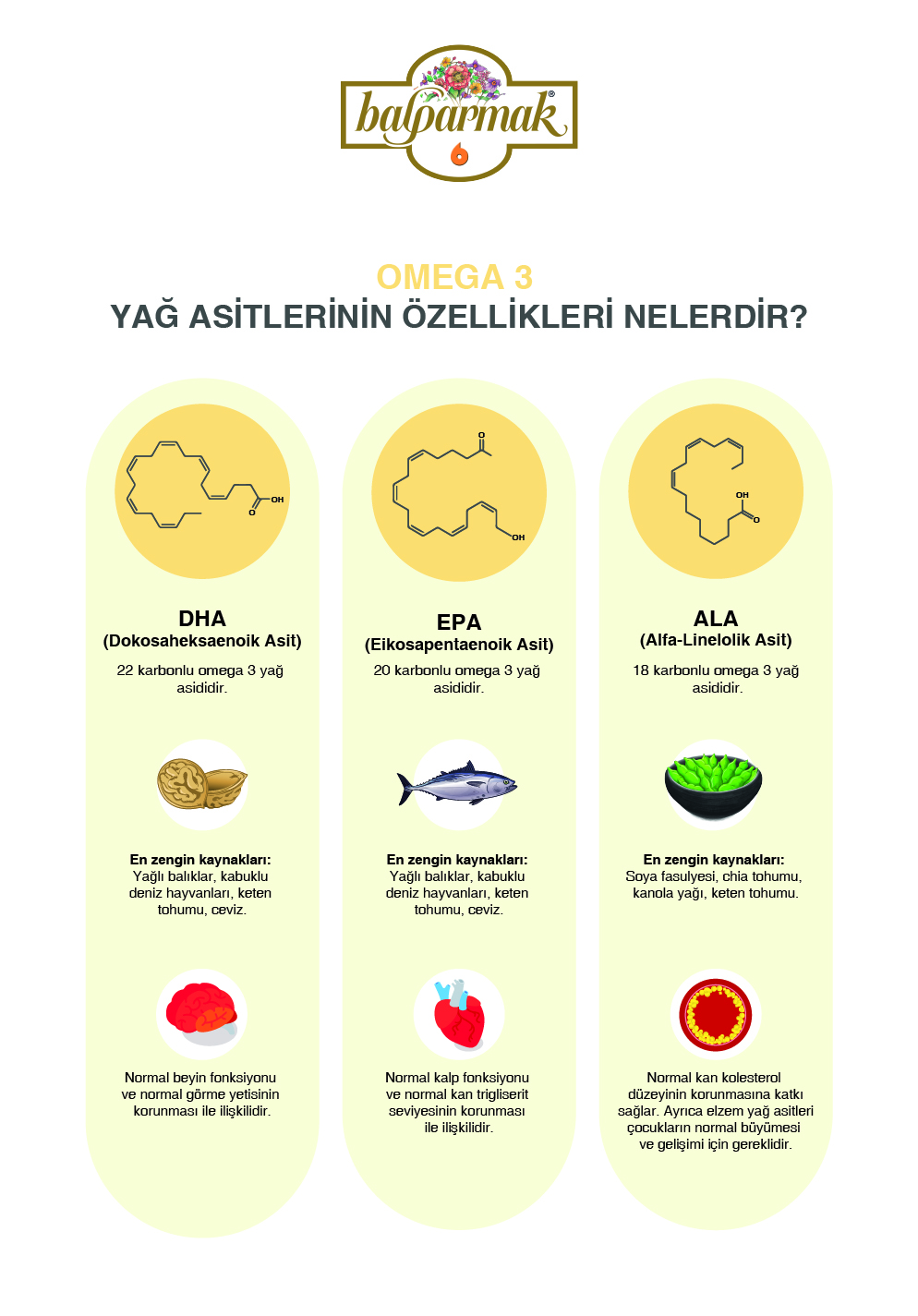DHA (Dokosaheksaenoik Asit) Nedir? Balparmak