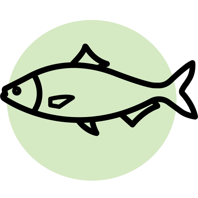 The Histories of Maryland’s Most TimeHonored Dishes—and How to Make Them