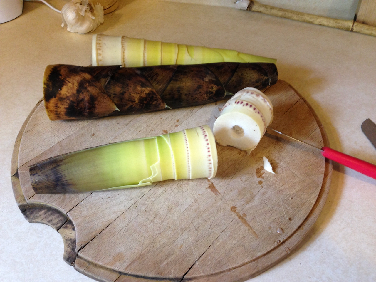 Cooking Bamboo Shoots Bamboo Farming USA