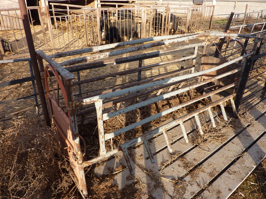 Pure Country Pork Farm to Fork Partner and Role Model for the Industry