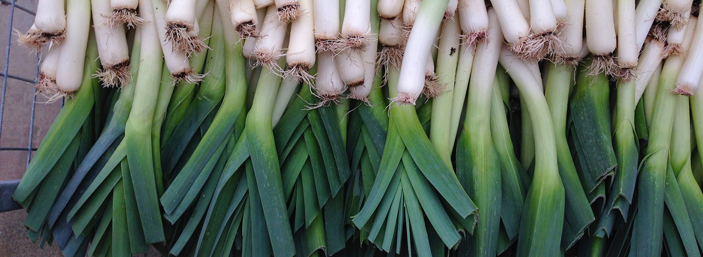 Compass Group USA & Bon Appétit Launch Imperfectly Delicious Produce