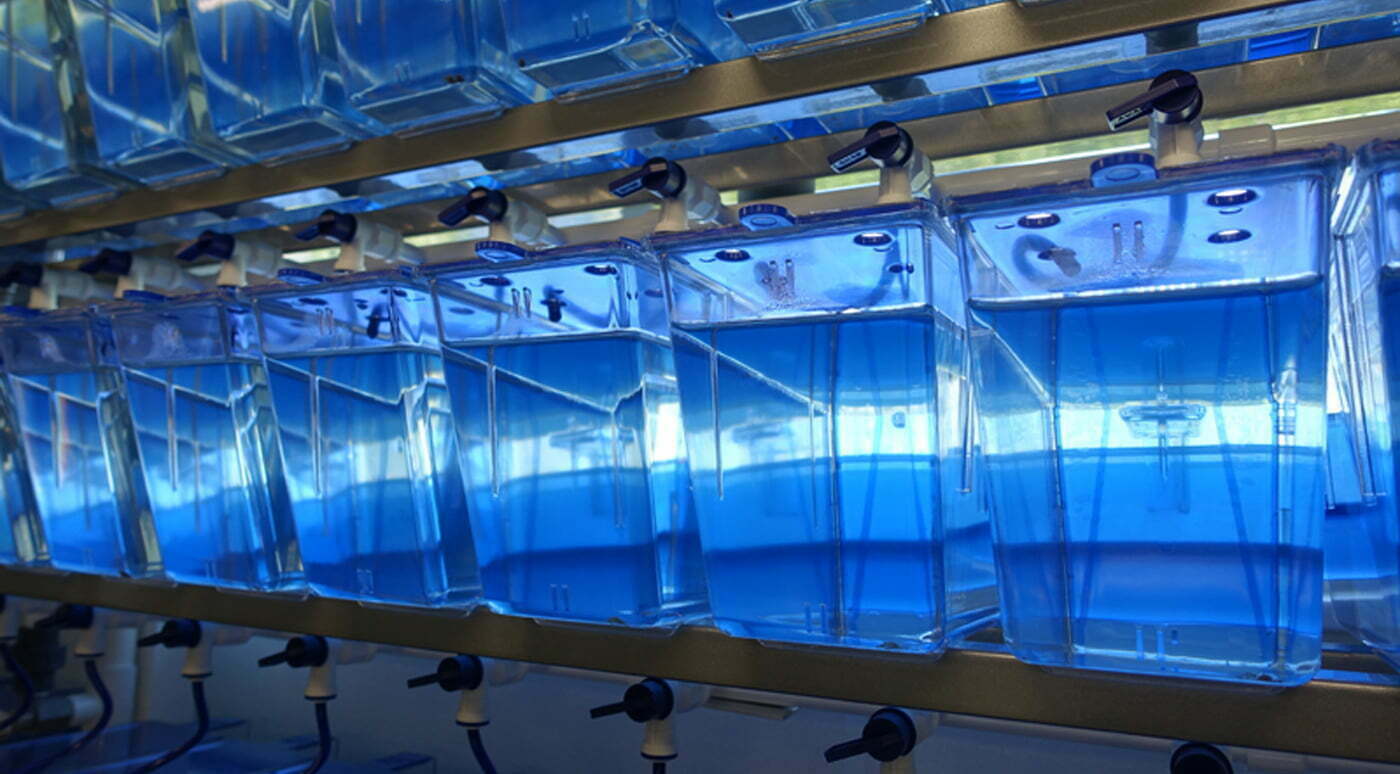 Water Systems & Aquaria Bamfield Marine Sciences Centre