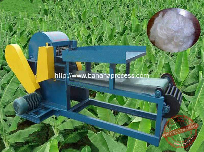 Automatic Banana Stem Fiber Extracting Machine Plantain Banana