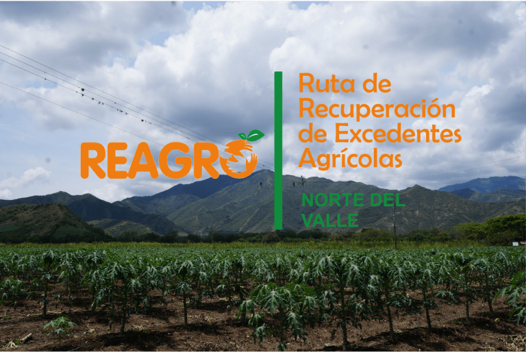 Ruta REAGRO en el Norte del Valle Banco de Alimentos Cali