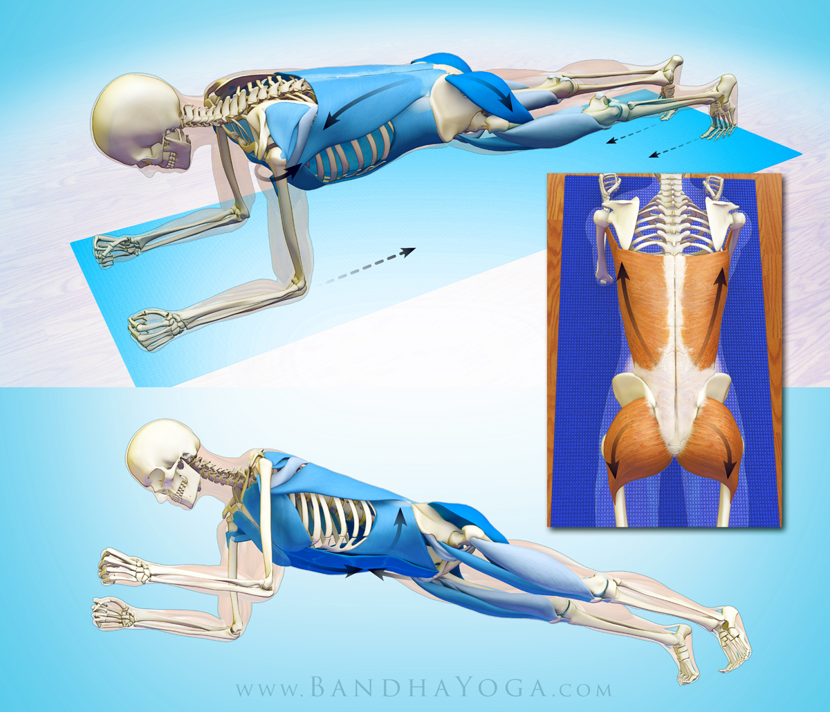 The Daily Bandha Connect Your Cuff to Your Core in Forearm Plank