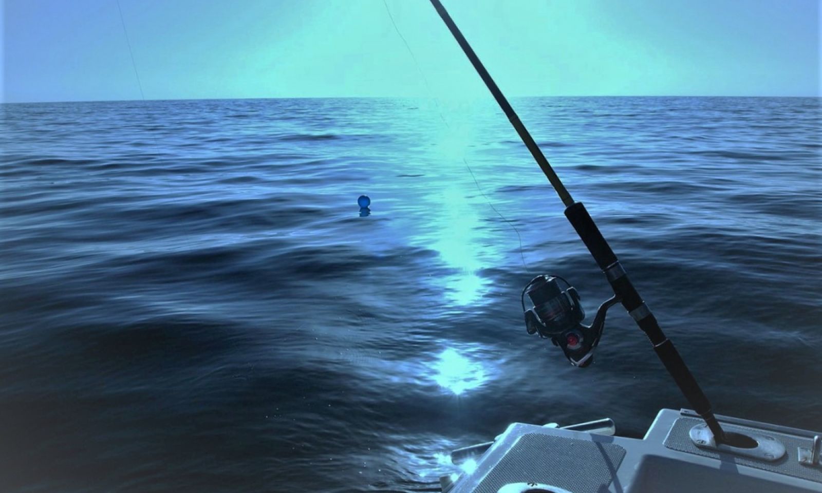 The Bait and Tackle Centre