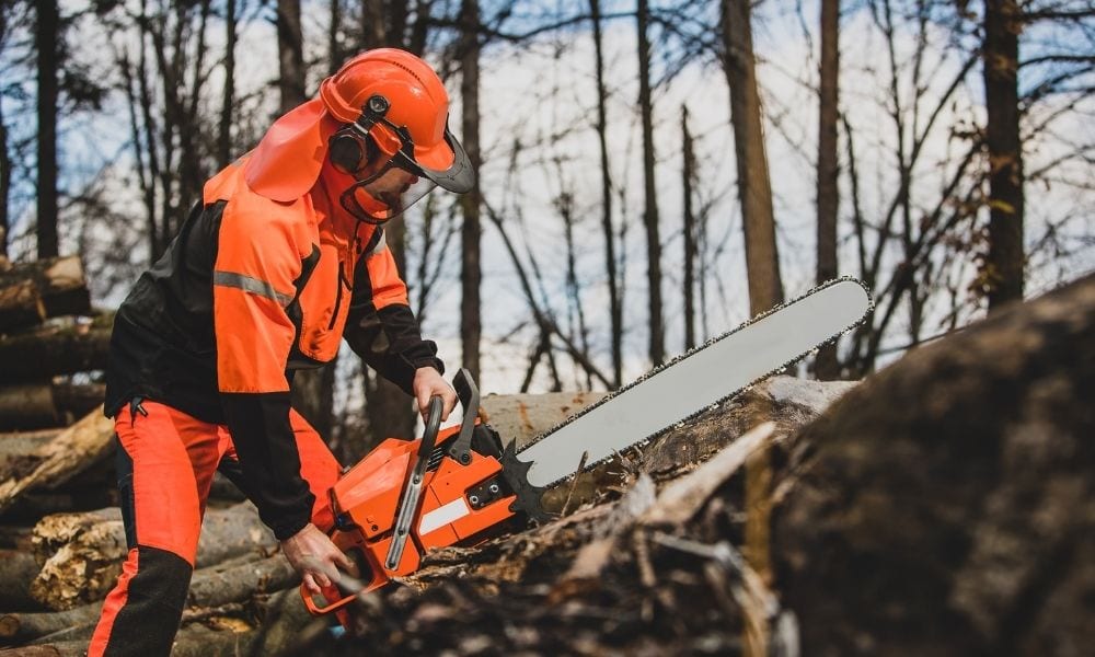15 Best Portable Chainsaw Mills Carmyra Vs Alaskan? [2024]