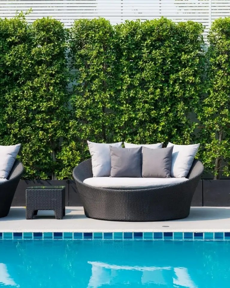 Pool Deck Furniture Ideas Design And Themes To Try In 2025