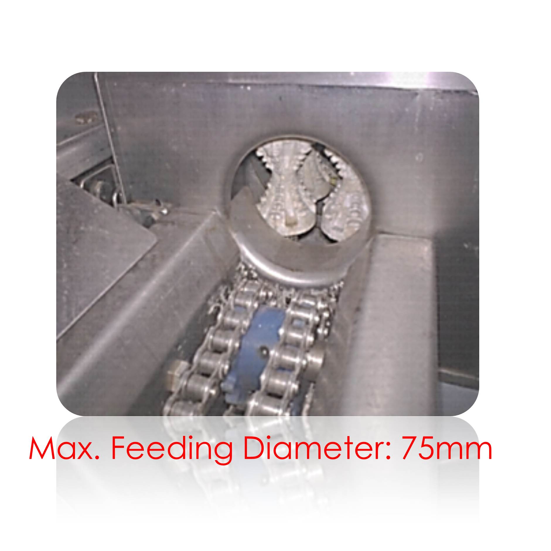 (MZ268) Corn Kernel Remover Ban Hing Holding Sdn Bhd