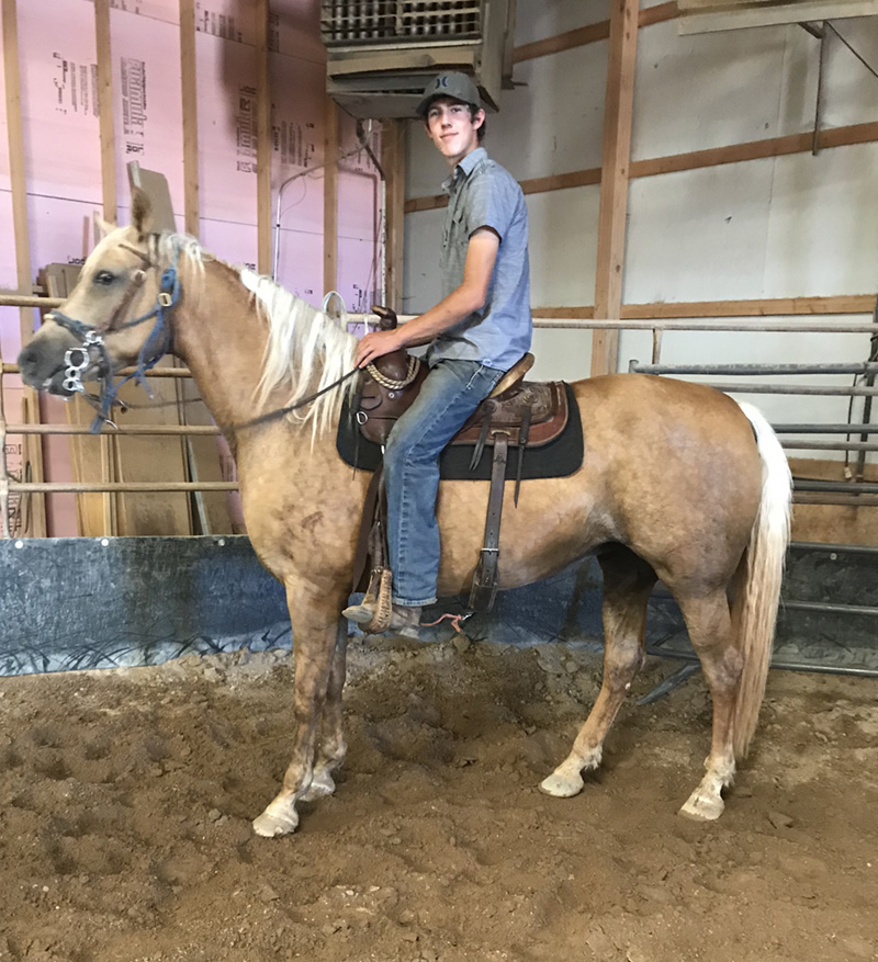 Gallery Bar None Ranch