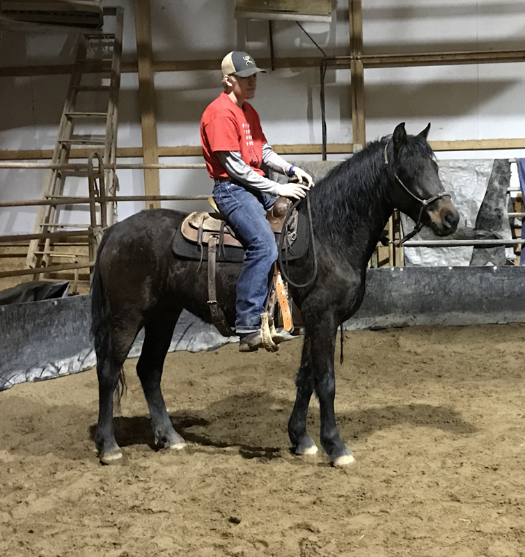 Gallery Bar None Ranch