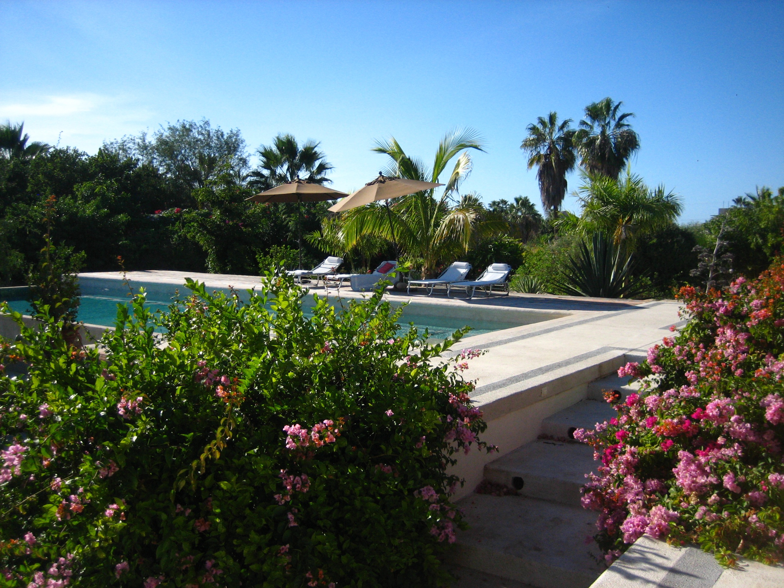 Short or Longterm Home & Vacation Rentals Todos Santos, Pescadero