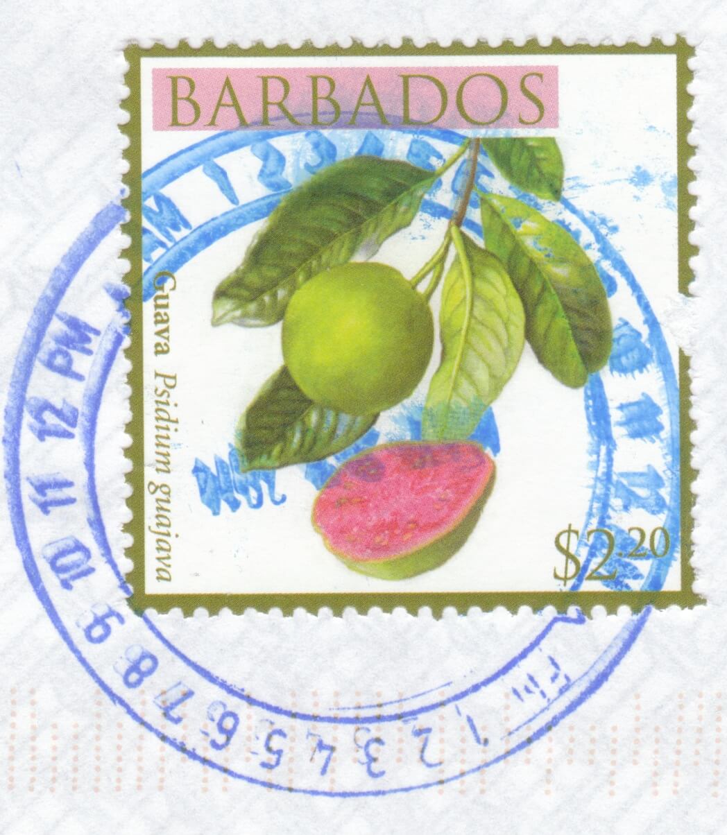 A complete guide to The Post Offices of Barbados Barbados Stamps
