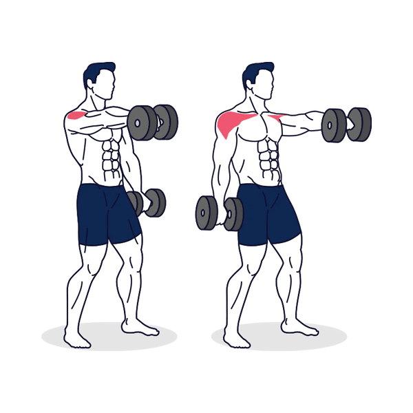 Front Delt Raise Variations Barbell Front Raise