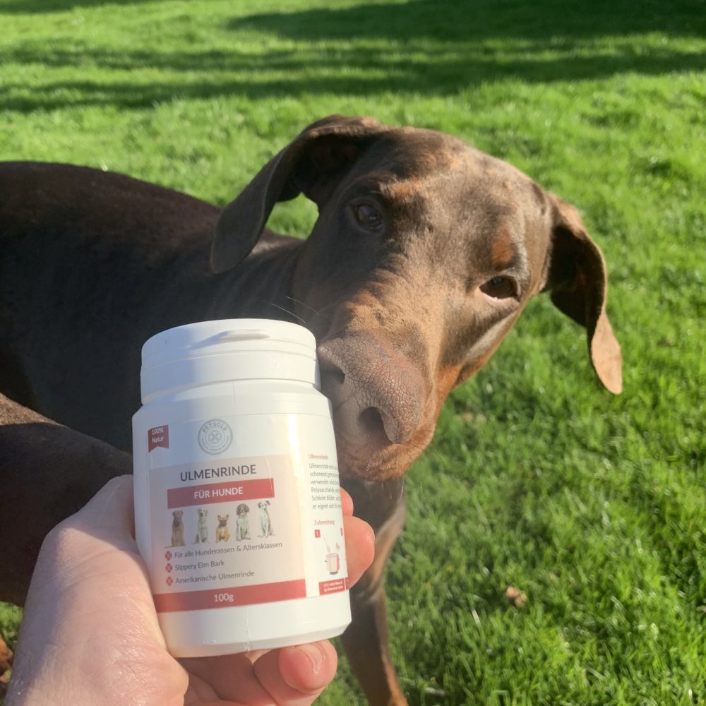 🥇Ulmenrinde für Hunde kaufen Slippery Elm Bark füttern
