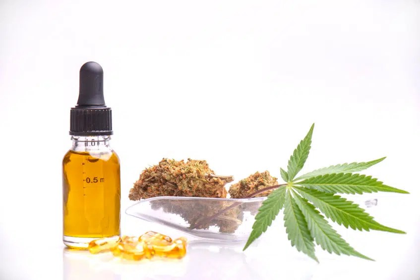 En 2022, la France autorise la culture du CBD quel est l