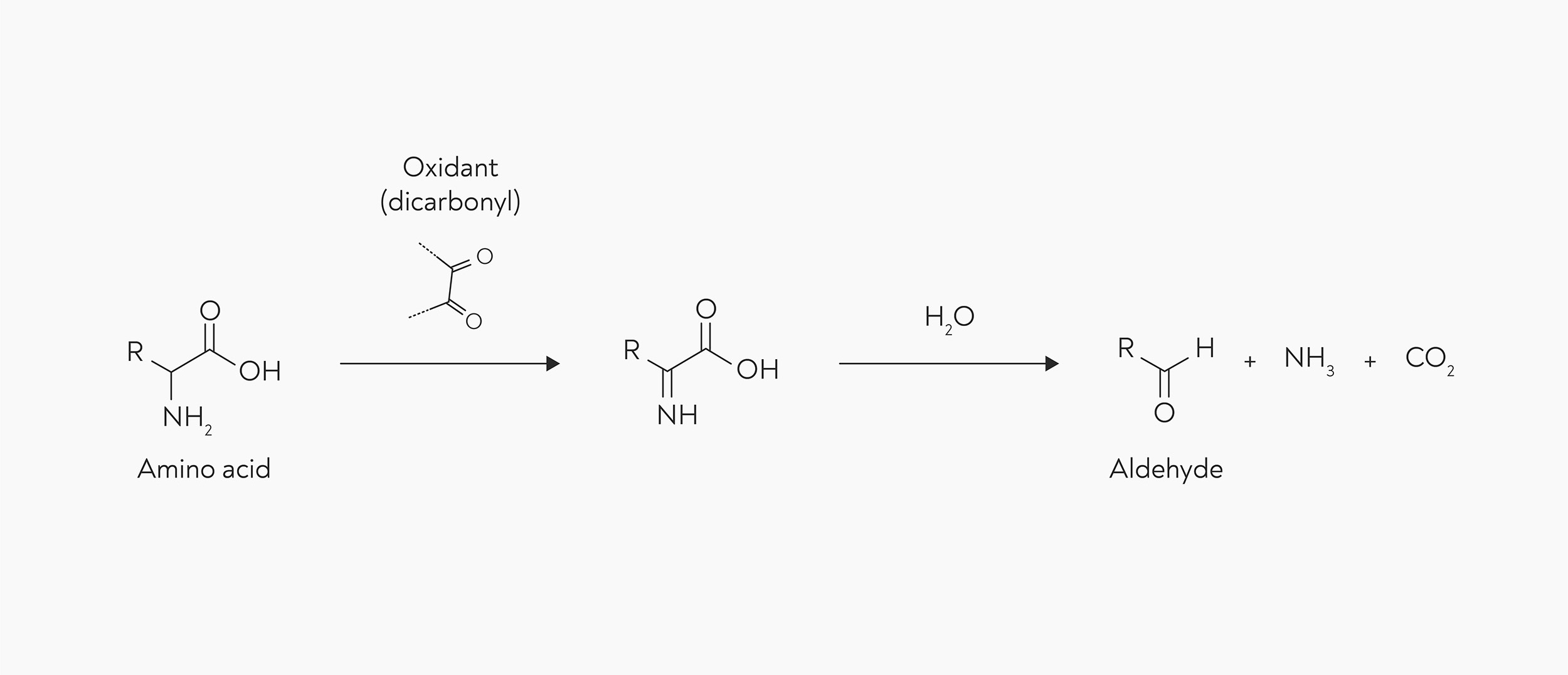 Strecker Degradation in Coffee Roasting Barista Hustle