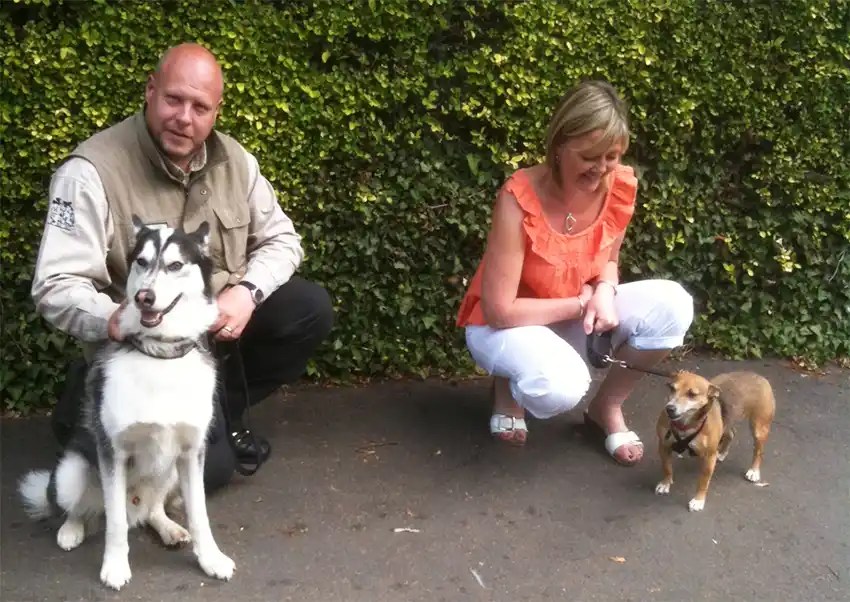 Dog Training Wolverhampton Behavioural Therapist