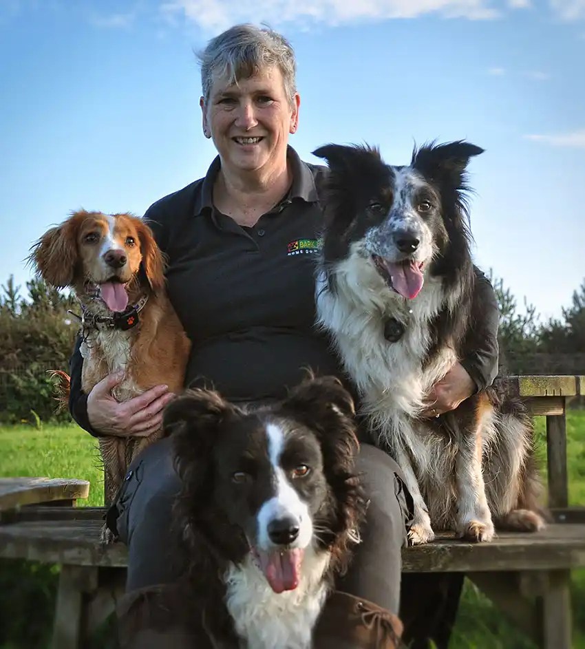 Dog Training Chester & Wrexham Home Puppy Classes