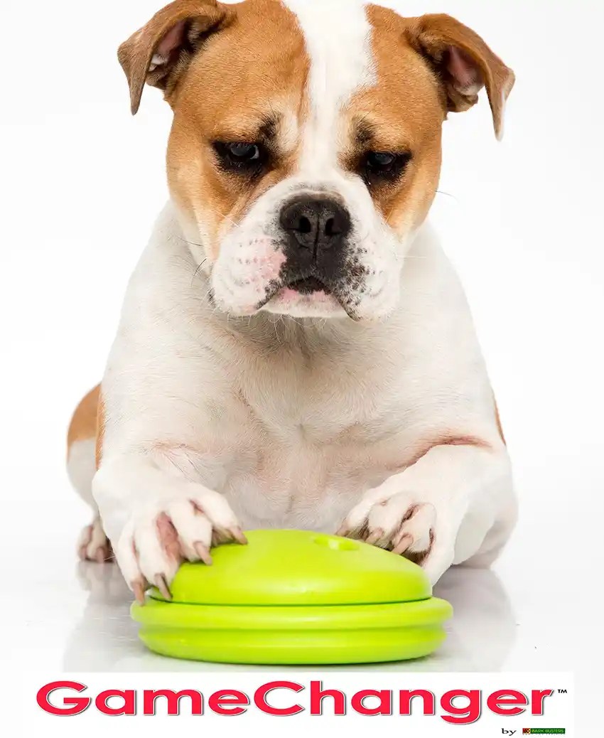 Boxer Dog Breed Tips & Information Bark Busters