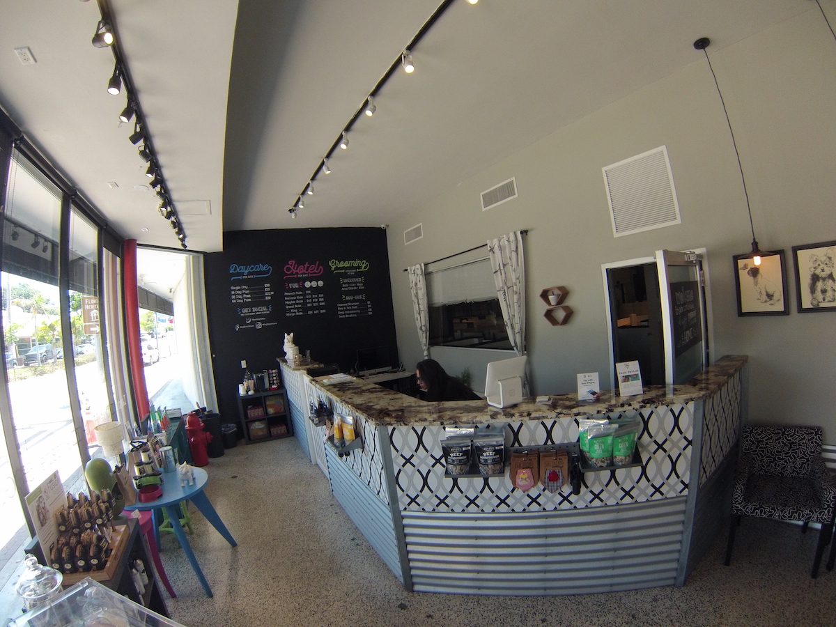 Coconut Grove Dog Hotel Dog Daycare Dog Grooming Dogtown