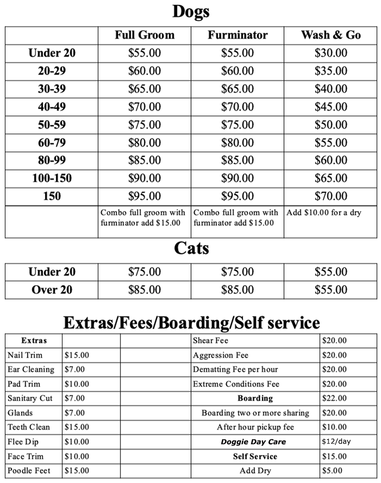 Dog Grooming Cornelia,