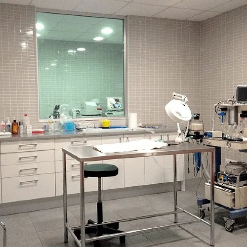 Dog Grooming in Southampton Barks 'n Bubbles