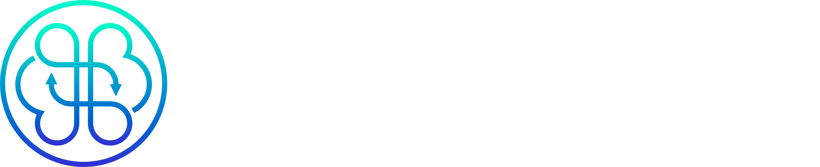 Barnard Vulnerability Risk Manager